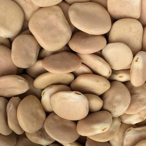 Dry Lupin